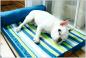Preview: 360Home Haustier Herausnehmbare und waschbare warme Schlafmatten Bett